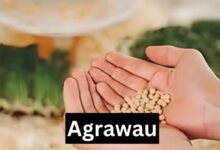 Agrawau