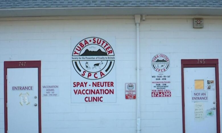 Yuba city spca vaccinations